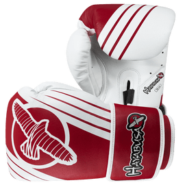  Перчатки боксерские Hayabusa Ikusa Recast 10oz, фото 1 